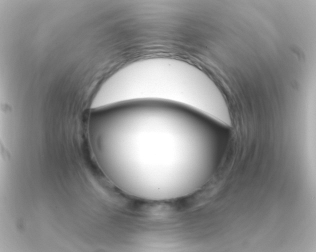 X0000091200512200708091042