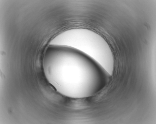 X0000091200516200708091042