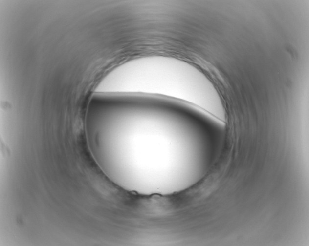 X0000091200517200708091042