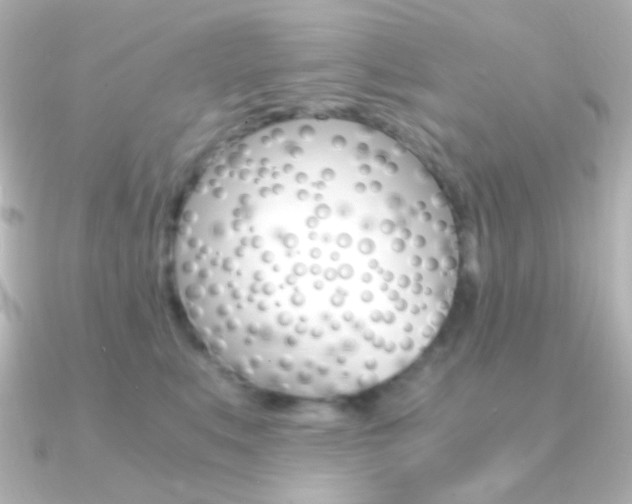 X0000091200519200708091042