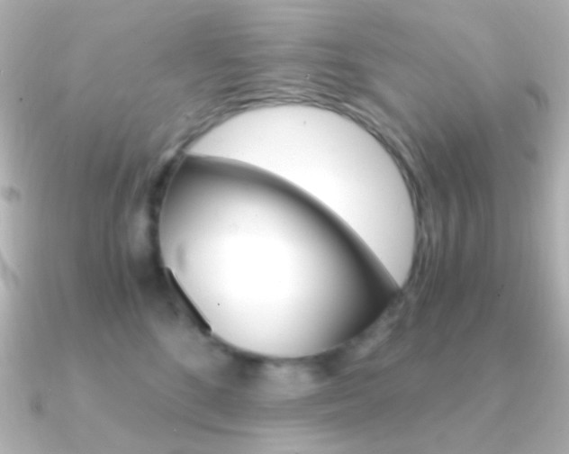 X0000091200520200708091042