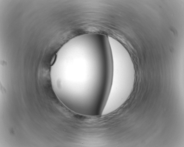 X0000091200521200708091042