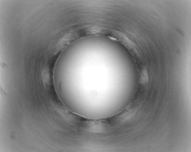 X0000091200524200708091042
