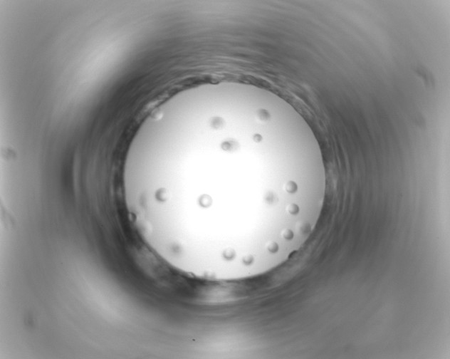 X0000091200527200708091042