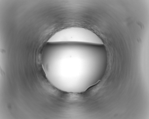 X0000091200528200708091042
