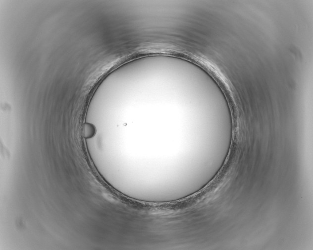 X0000091200529200708091041