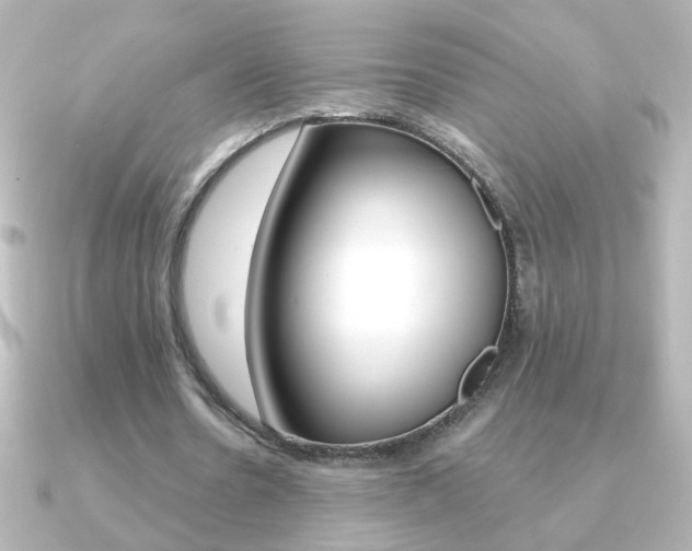 X0000091200530200708091041