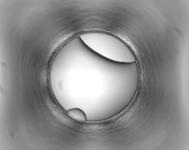 X0000091200533200708091041