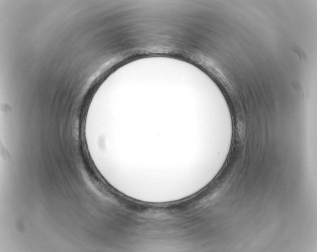 X0000091200534200708091041