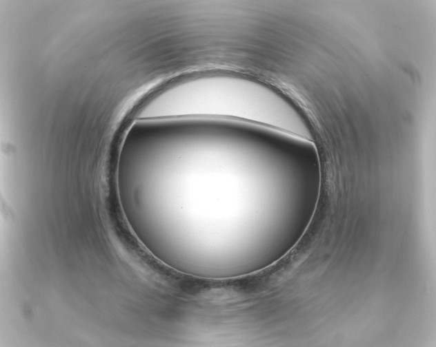 X0000091200536200708091041