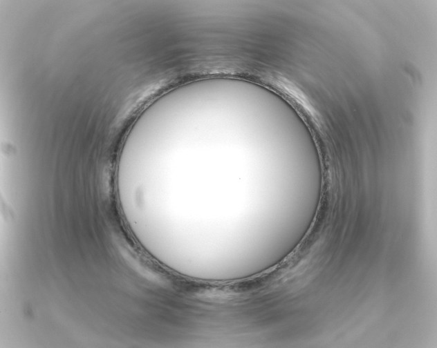 X0000091200537200708091041
