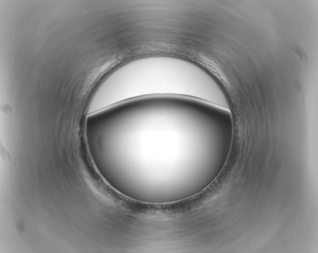 X0000091200538200708091041