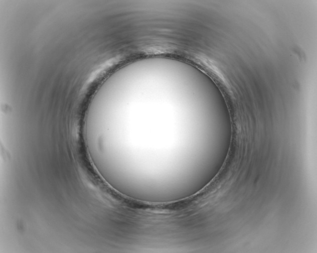 X0000091200539200708091042