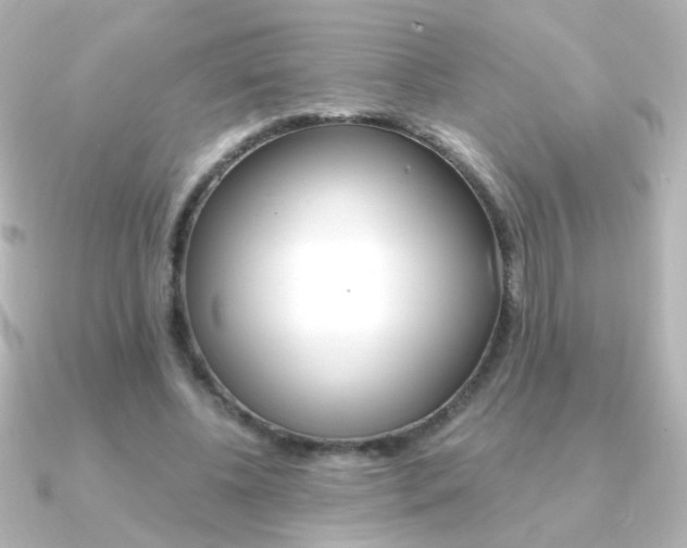 X0000091200540200708091042