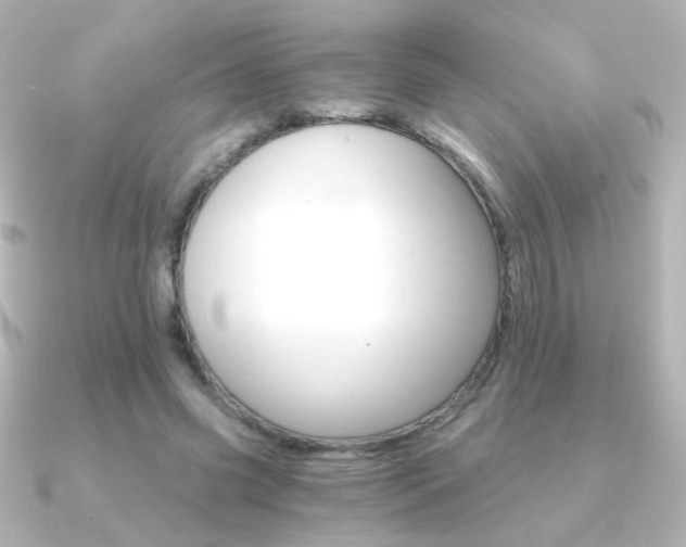 X0000091200541200708091042