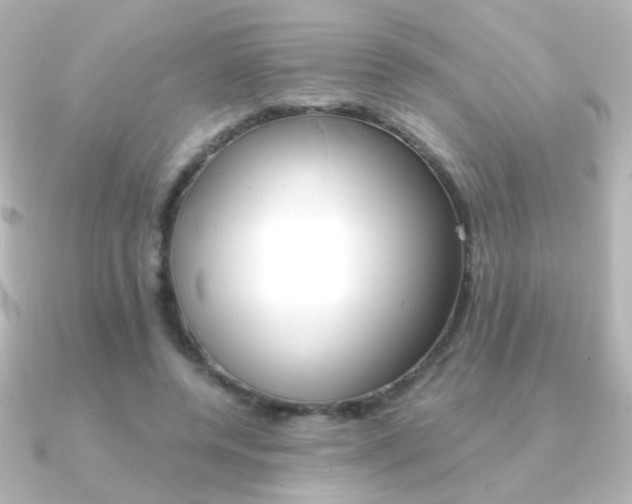 X0000091200544200708091042