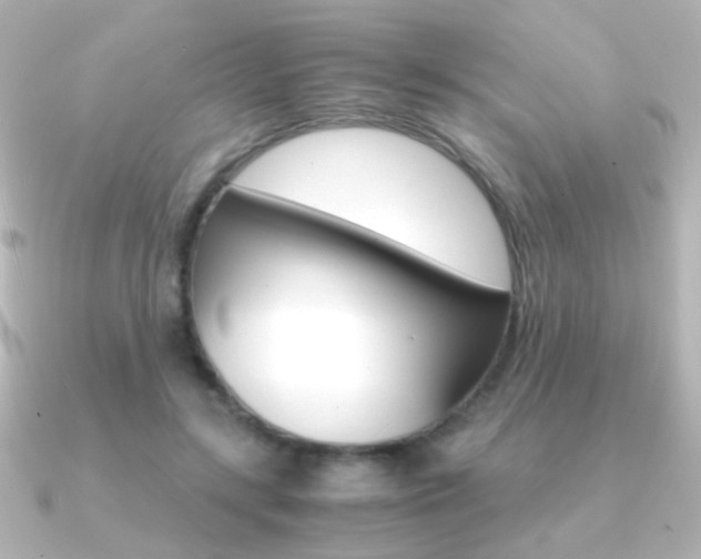 X0000091200547200708091042
