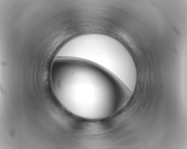 X0000091200548200708091042