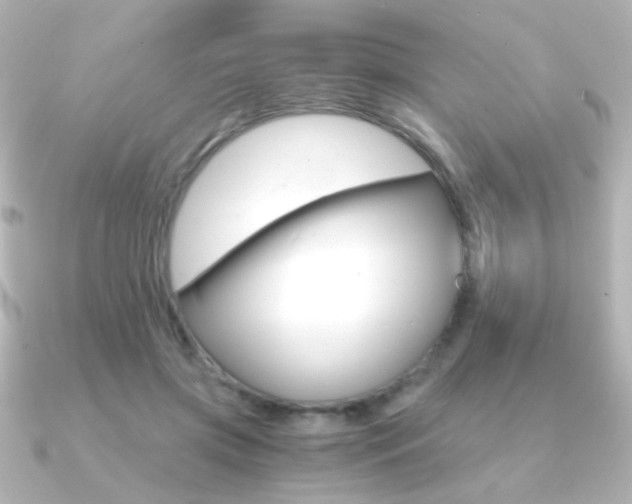 X0000091200549200708091042