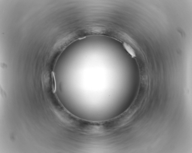 X0000091200552200708091042