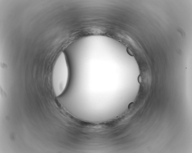 X0000091200553200708091042