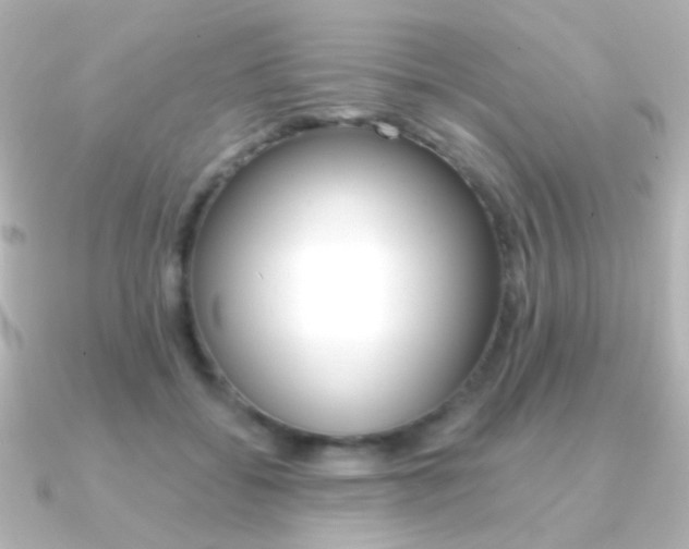 X0000091200556200708091042