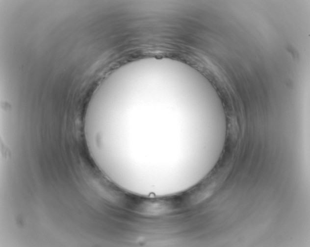 X0000091200557200708091042