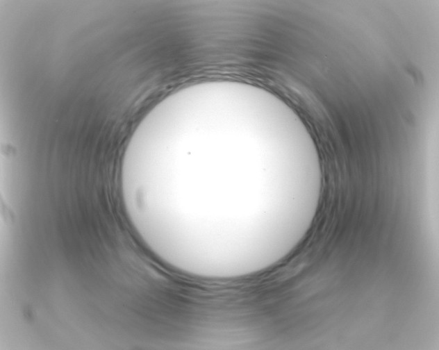 X0000091200558200708091042