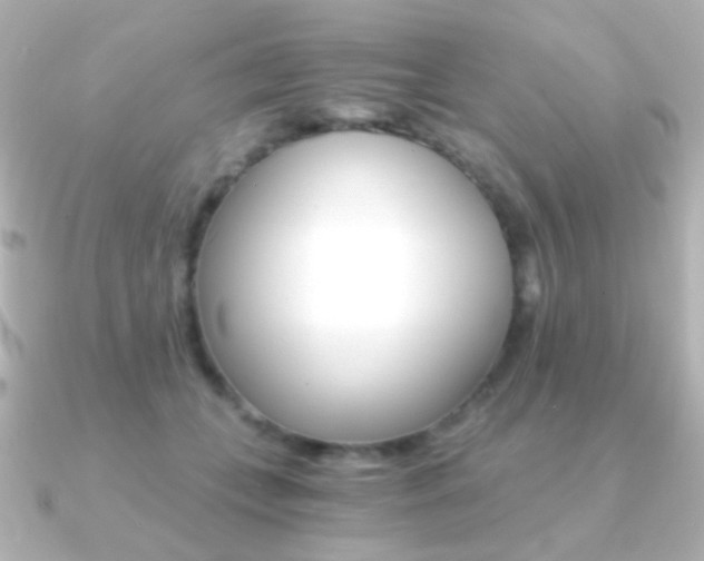 X0000091200559200708091042