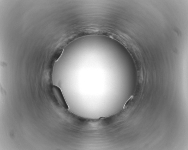 X0000091200560200708091042