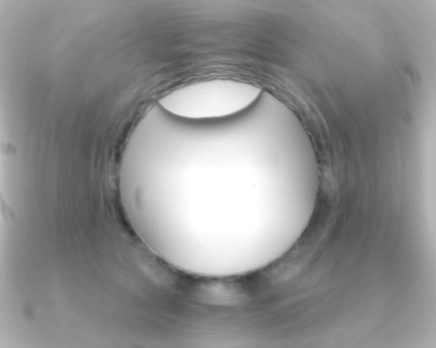 X0000091200561200708091042