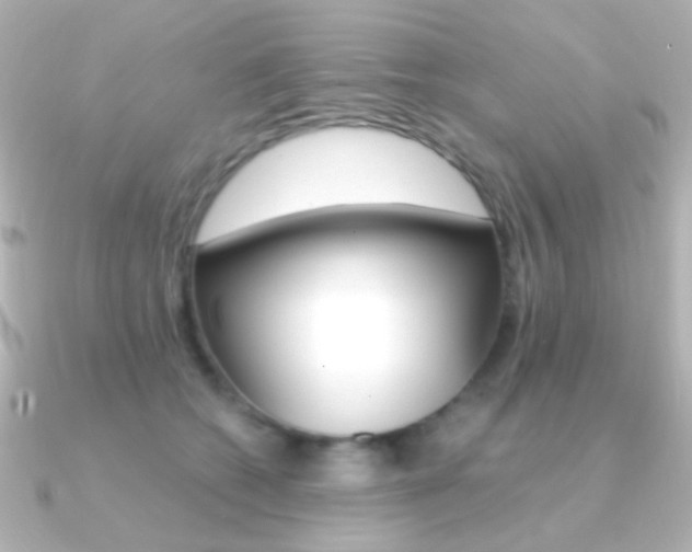 X0000091200562200708091042