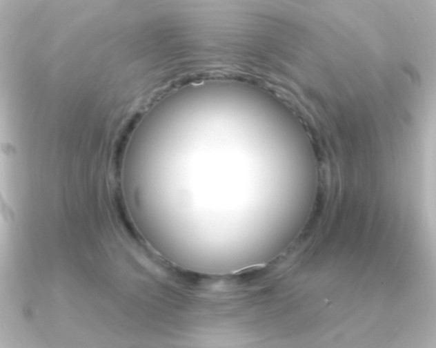 X0000091200564200708091042