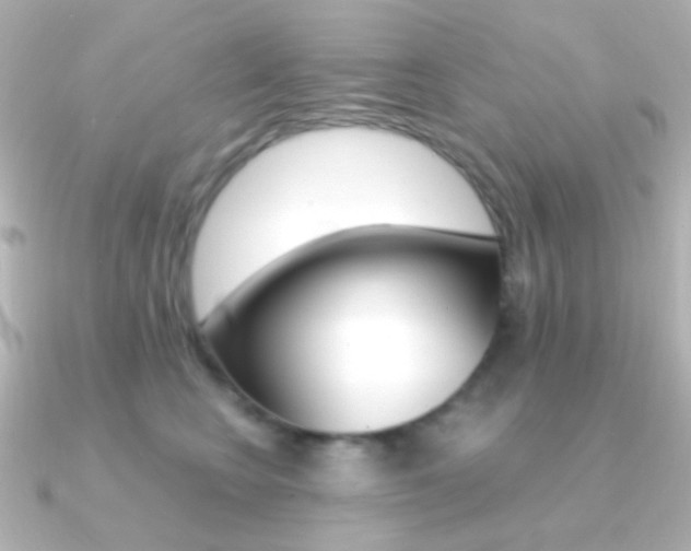 X0000091200566200708091042
