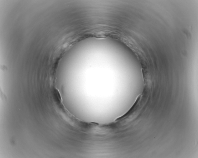 X0000091200568200708091042