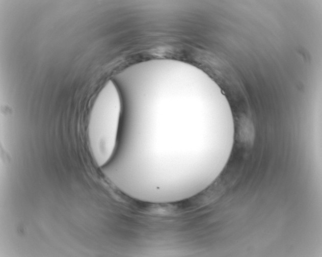 X0000091200569200708091042