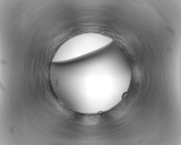 X0000091200571200708091042