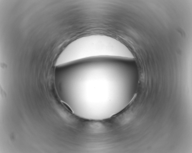 X0000091200572200708091042