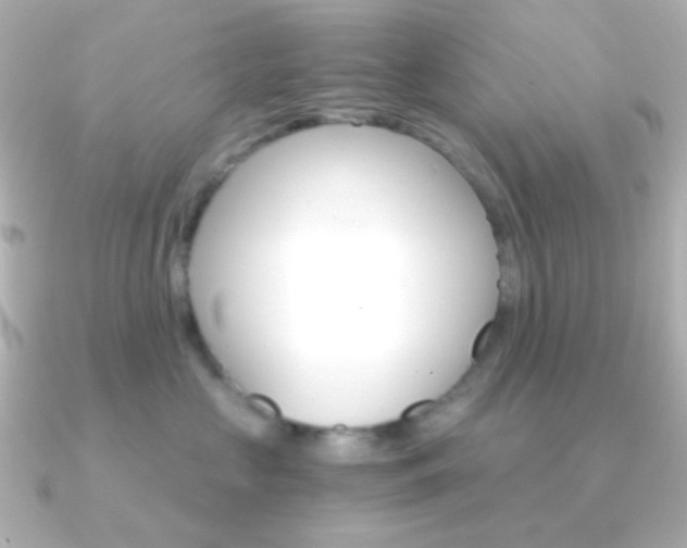 X0000091200573200708091042