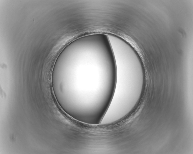 X0000091200577200708091041