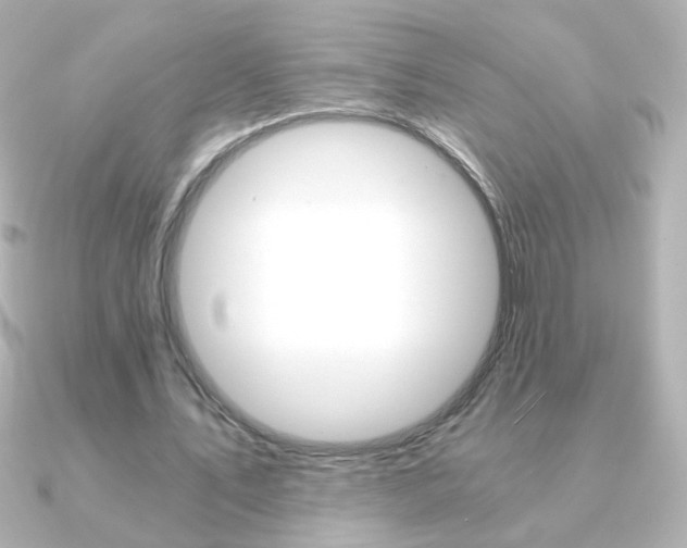 X0000091200579200708091041
