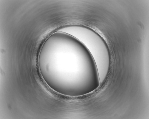 X0000091200581200708091041