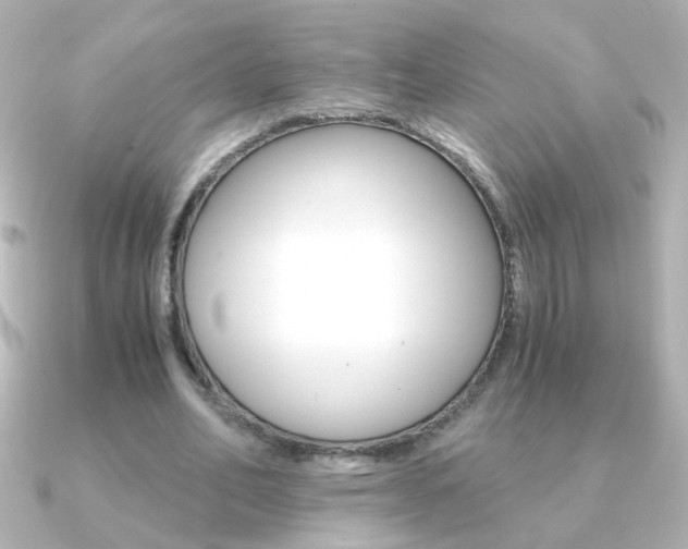 X0000091200582200708091041