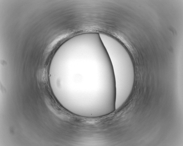 X0000091200583200708091041