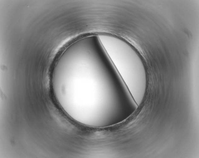 X0000091200584200708091041