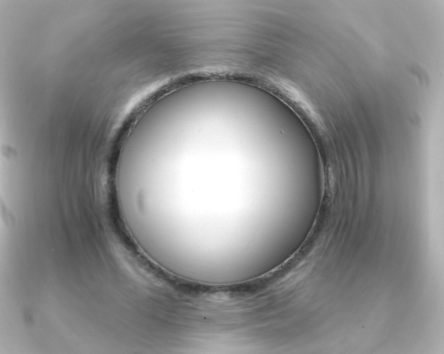 X0000091200588200708091041