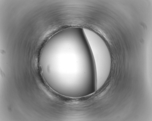 X0000091200589200708091041