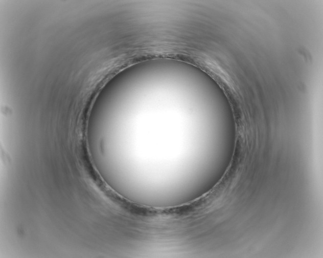 X0000091200593200708091041