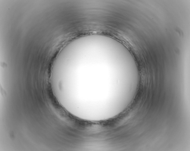 X0000091200594200708091041