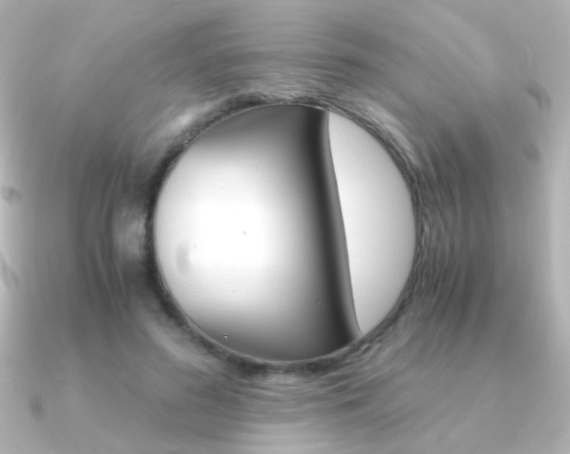 X0000091200596200708091041